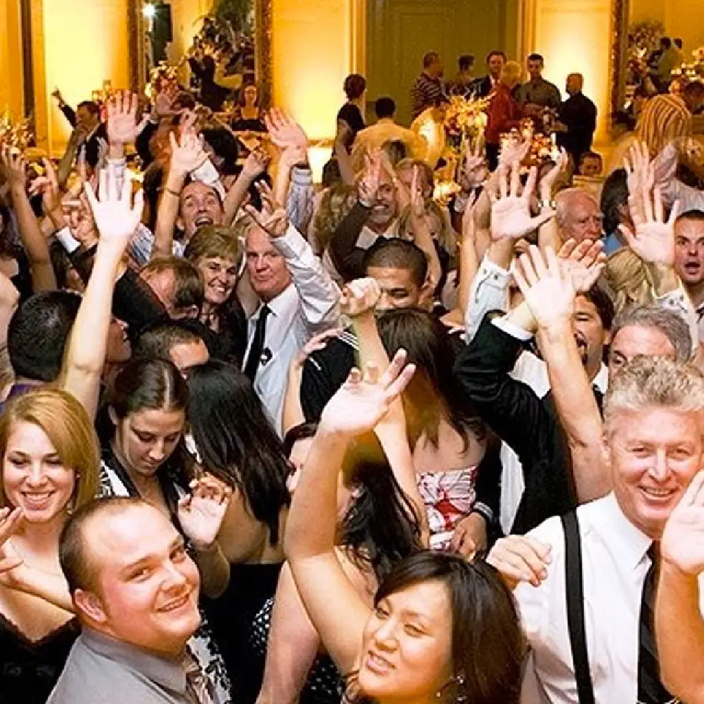 black-sheep-corporate-2